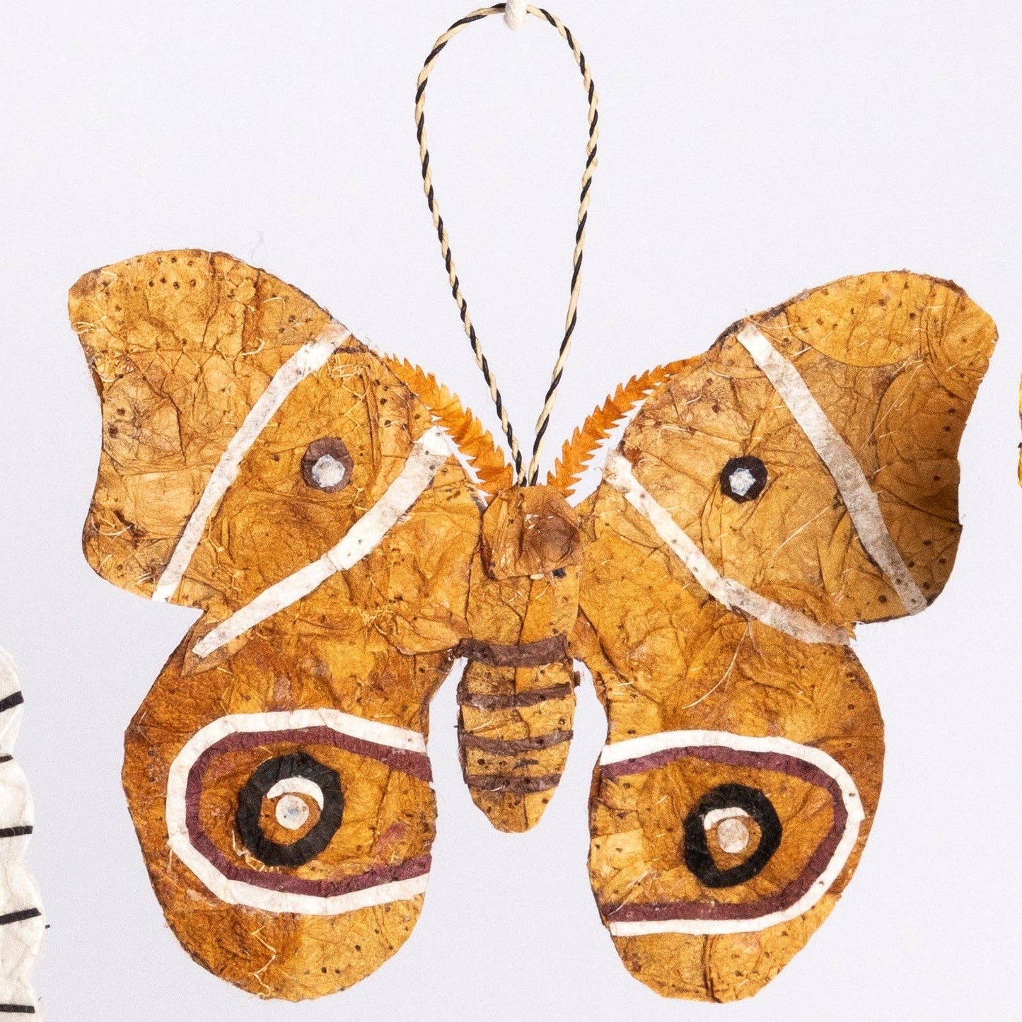 Madagascar Silk Moth Ornament - Tan