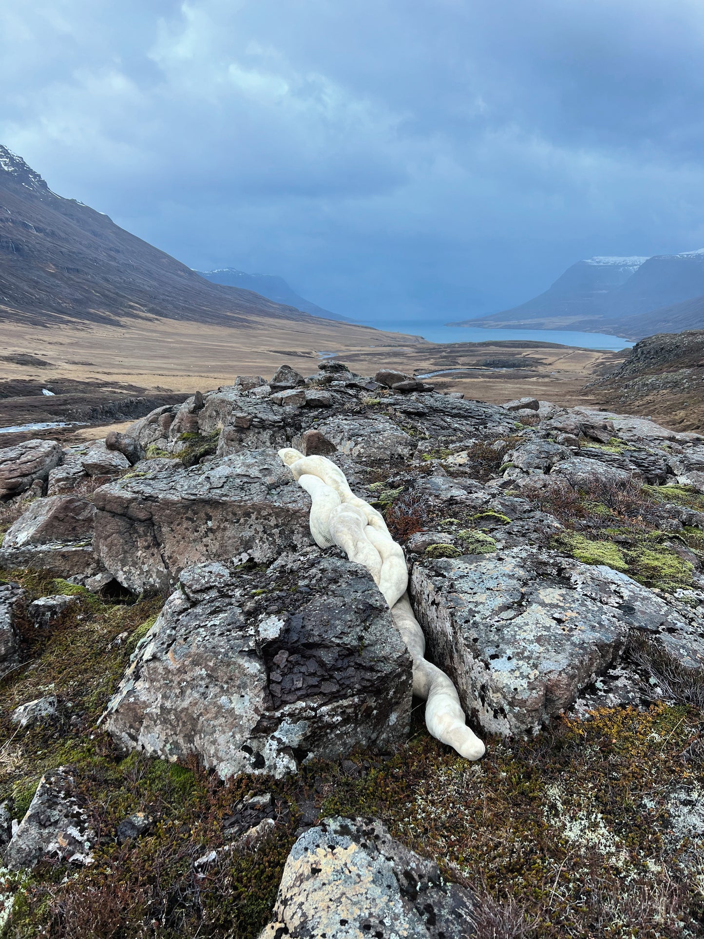 Selvedge Magazine Issue 121 - Rural