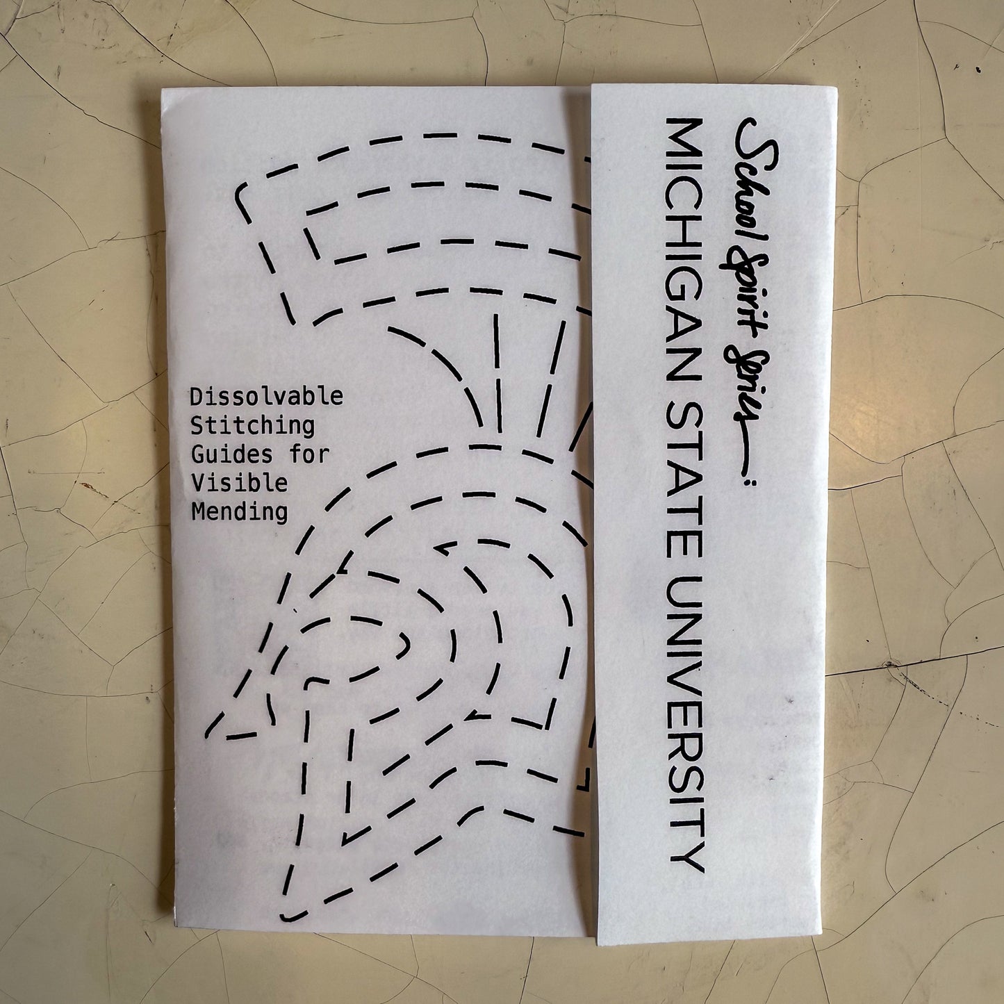 Michigan State University: Visible Mending Transfers