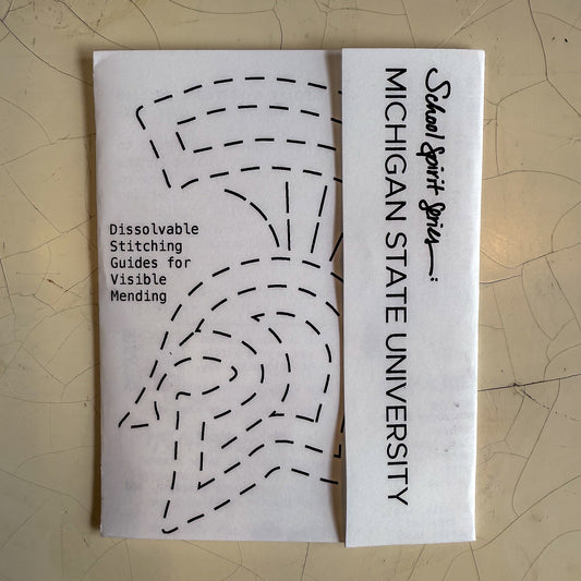 Michigan State University: Visible Mending Transfers