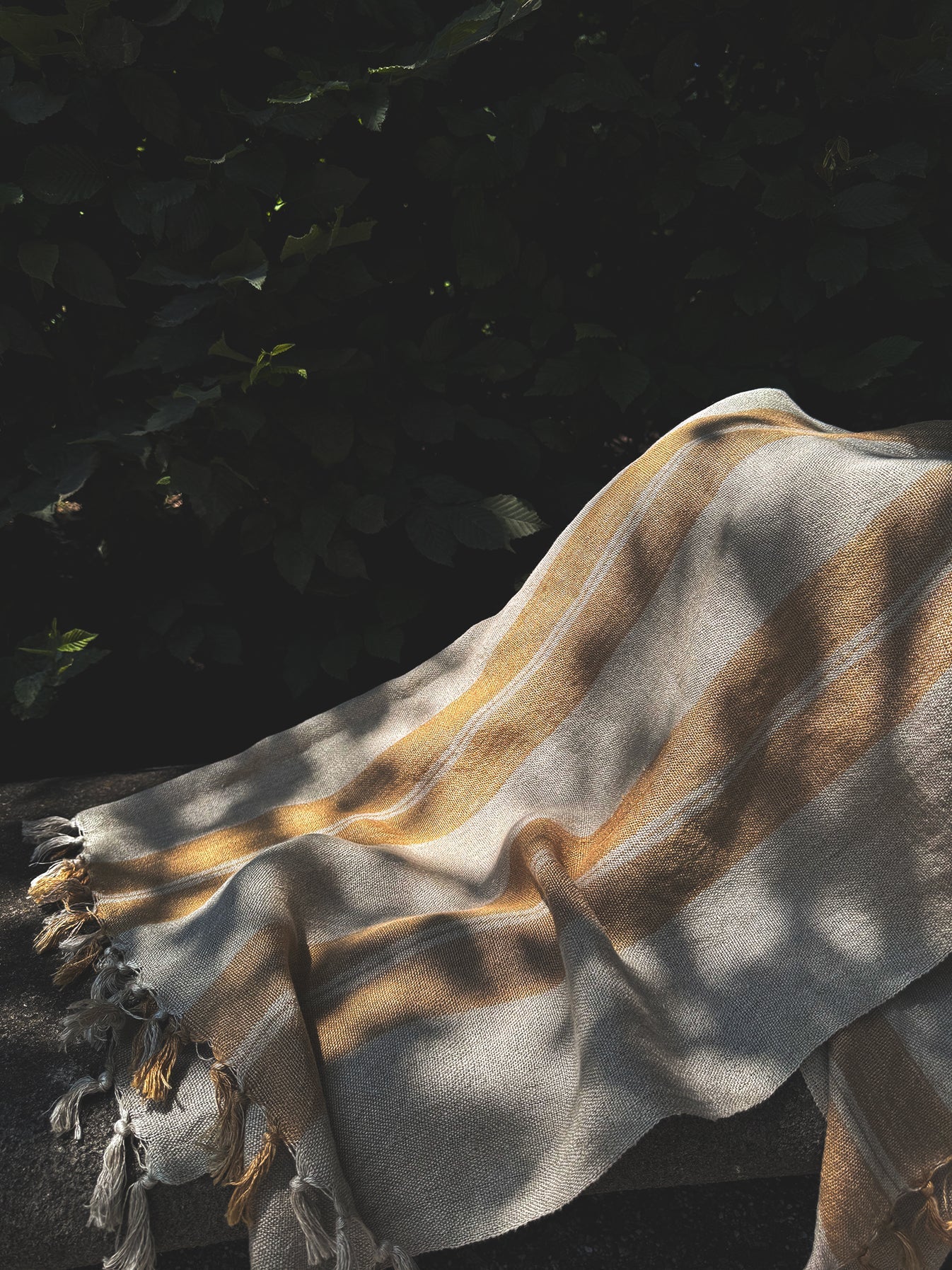 Carnival Towels by Ami Textiles