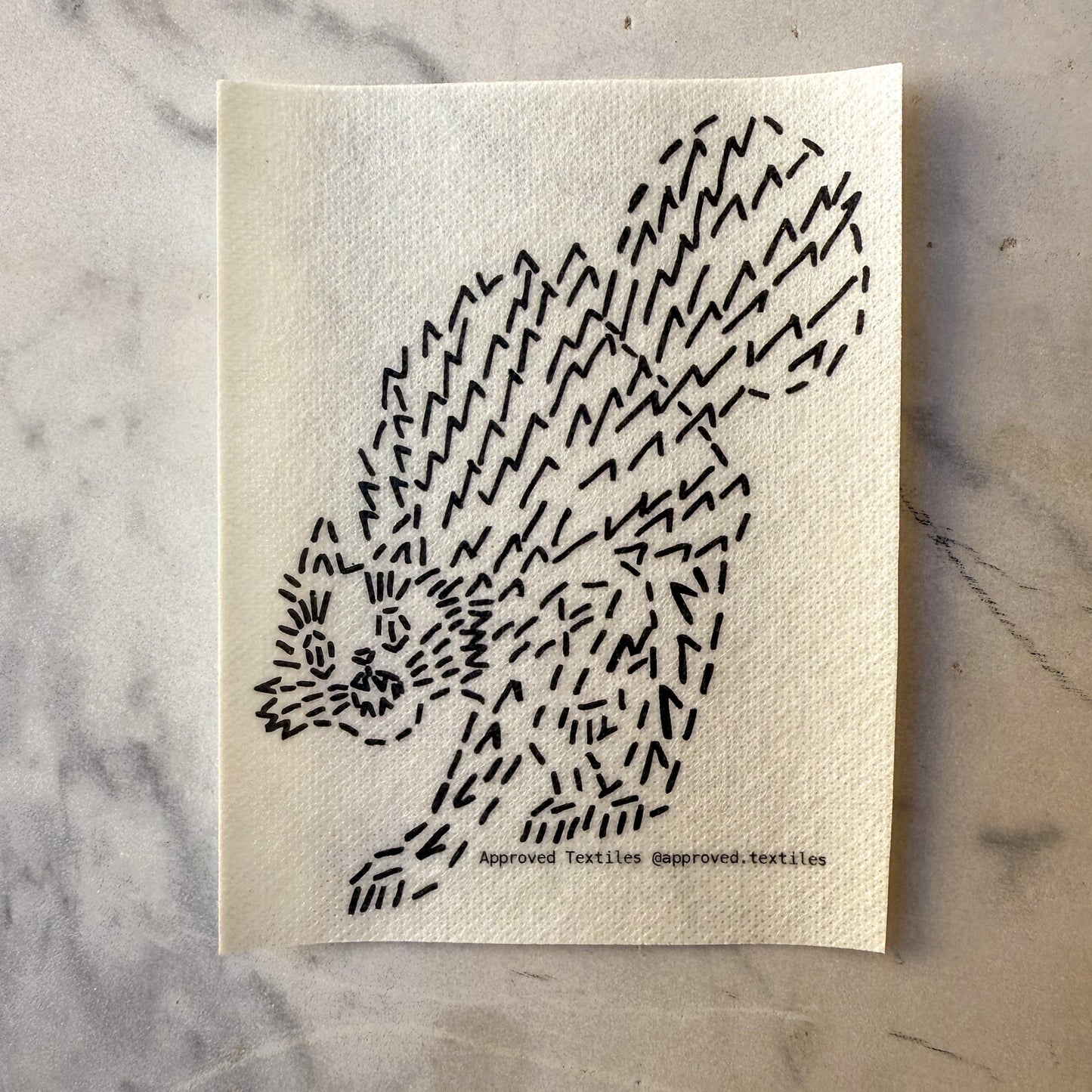 The Witches' Coven: Visible Mending Transfers