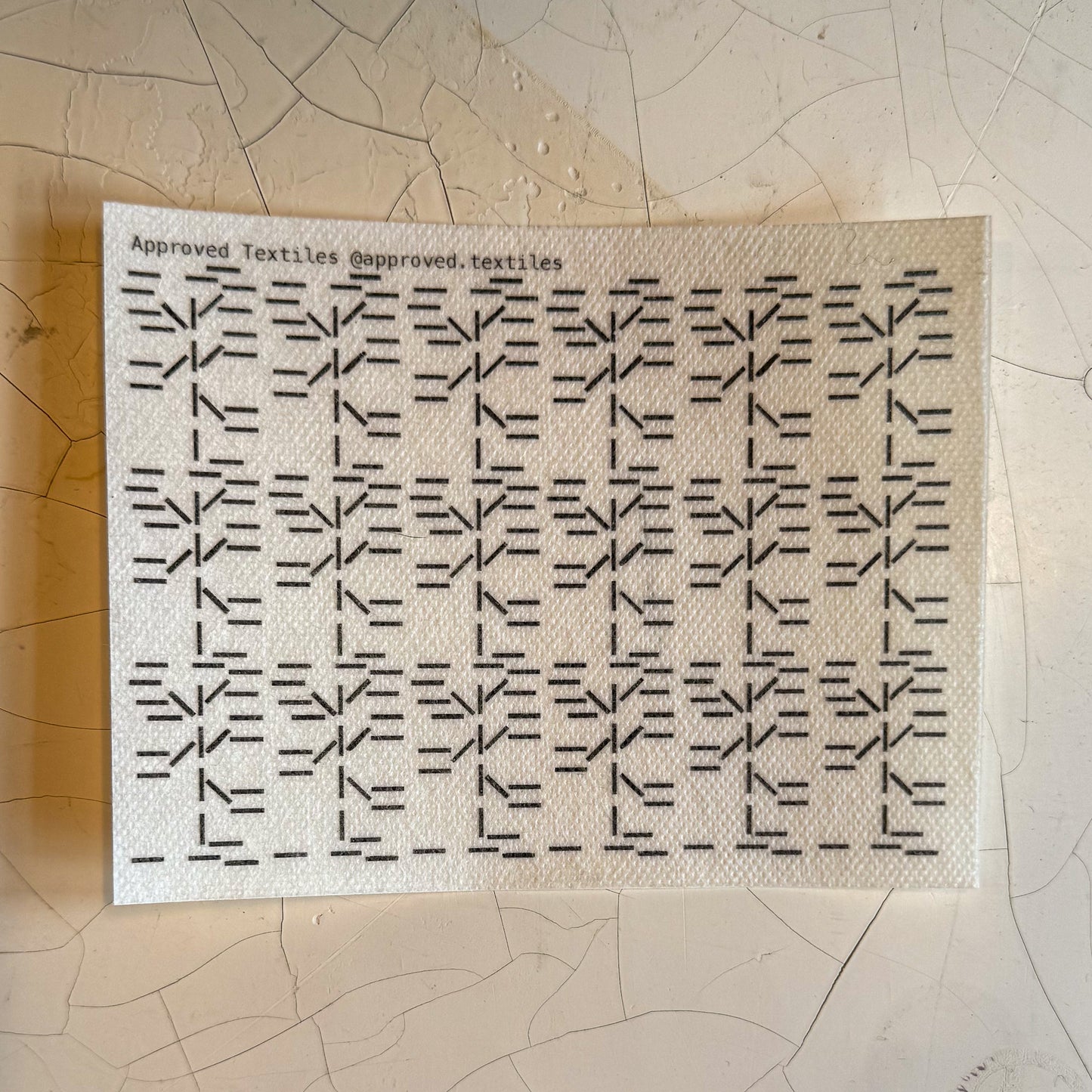 Desert Flora: Visible Mending Transfers