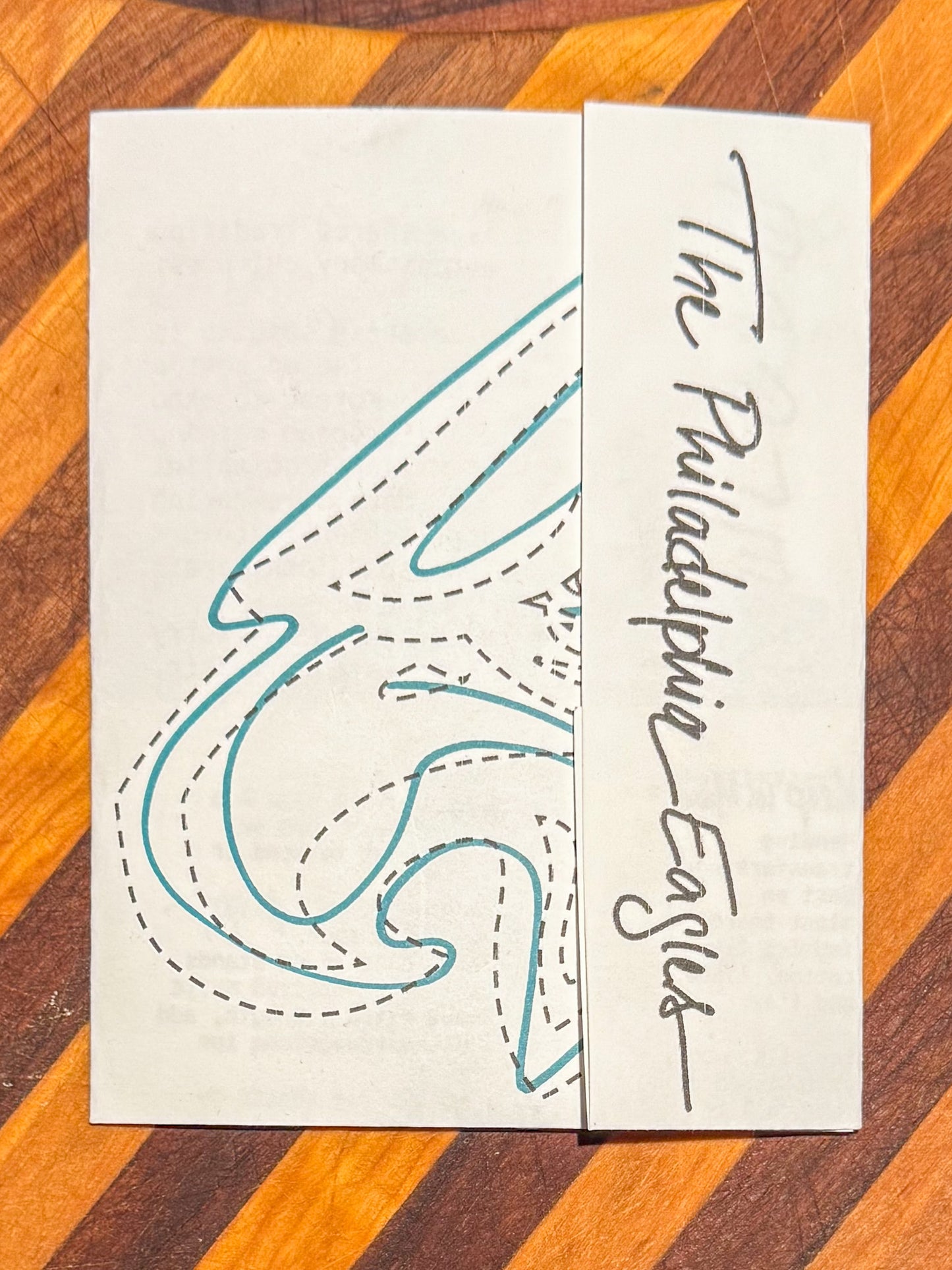 Stitching for Sunday: Philadelphia Football Visible Mending and Alterations