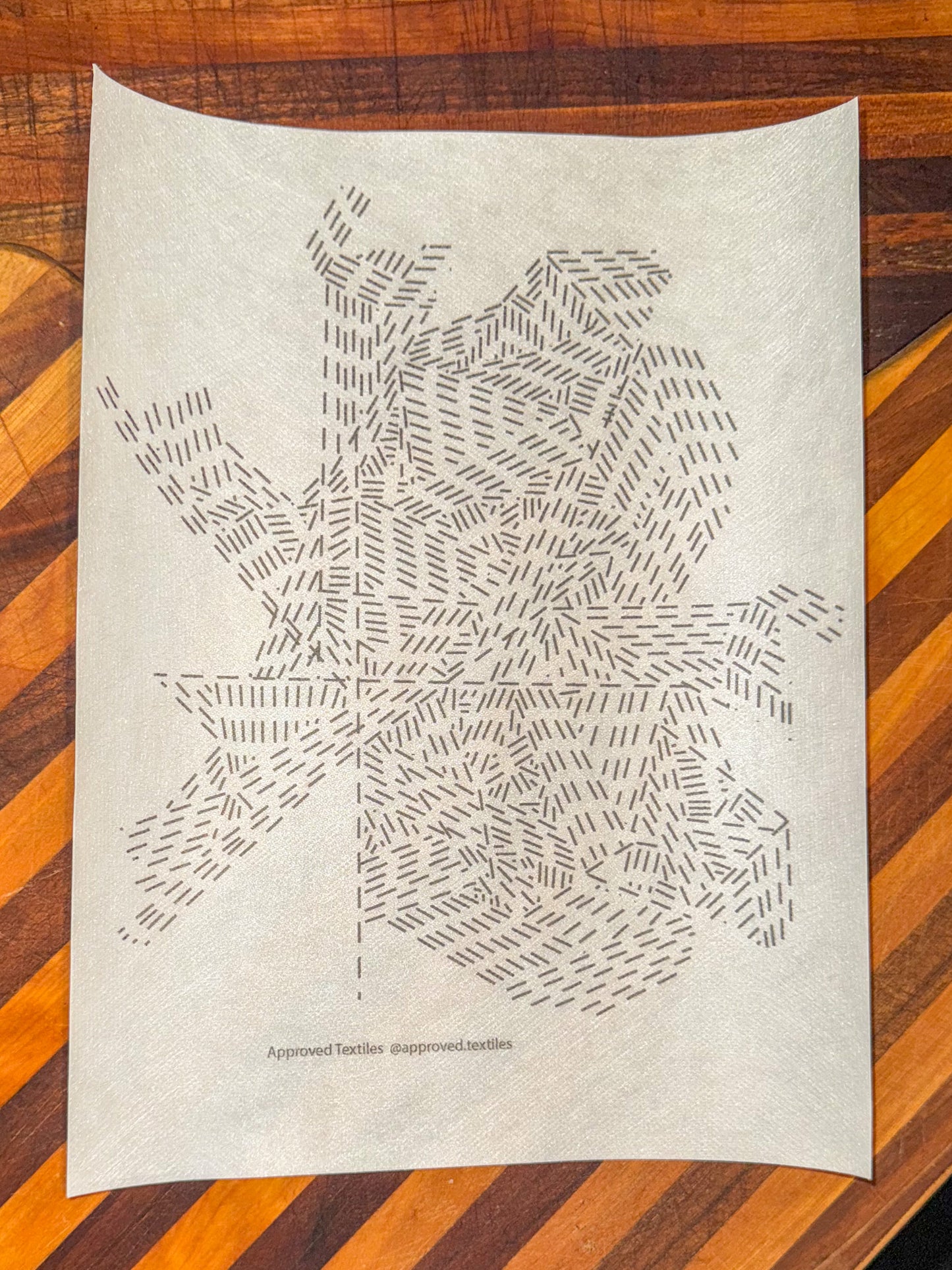 Anohni: Visible Mending Transfers