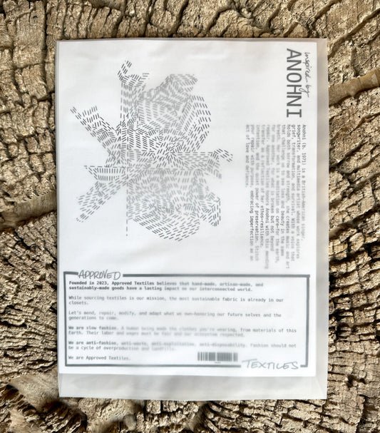 Anohni: Visible Mending Transfers