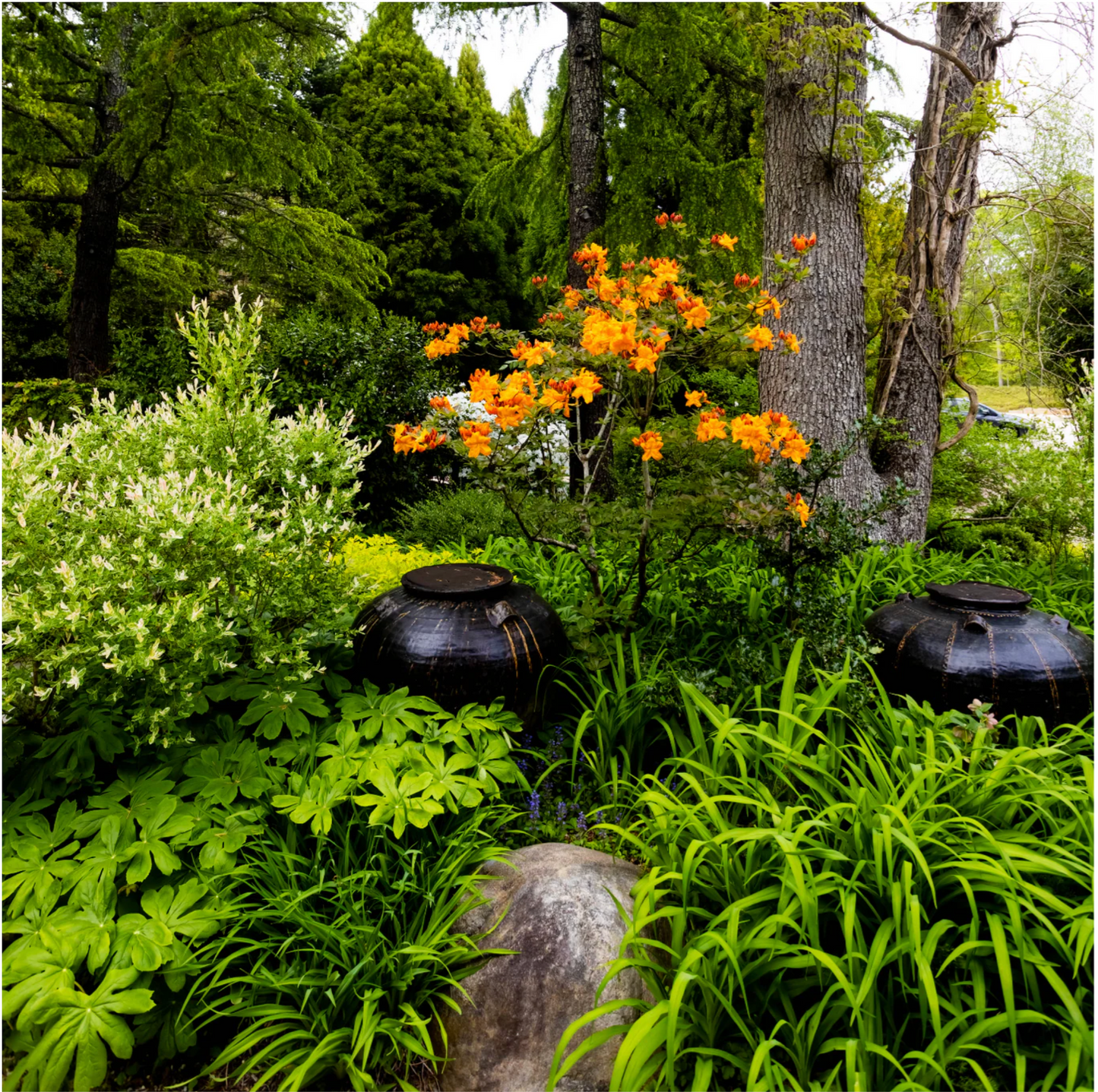 Selvedge Magazine Issue 130 - Flower