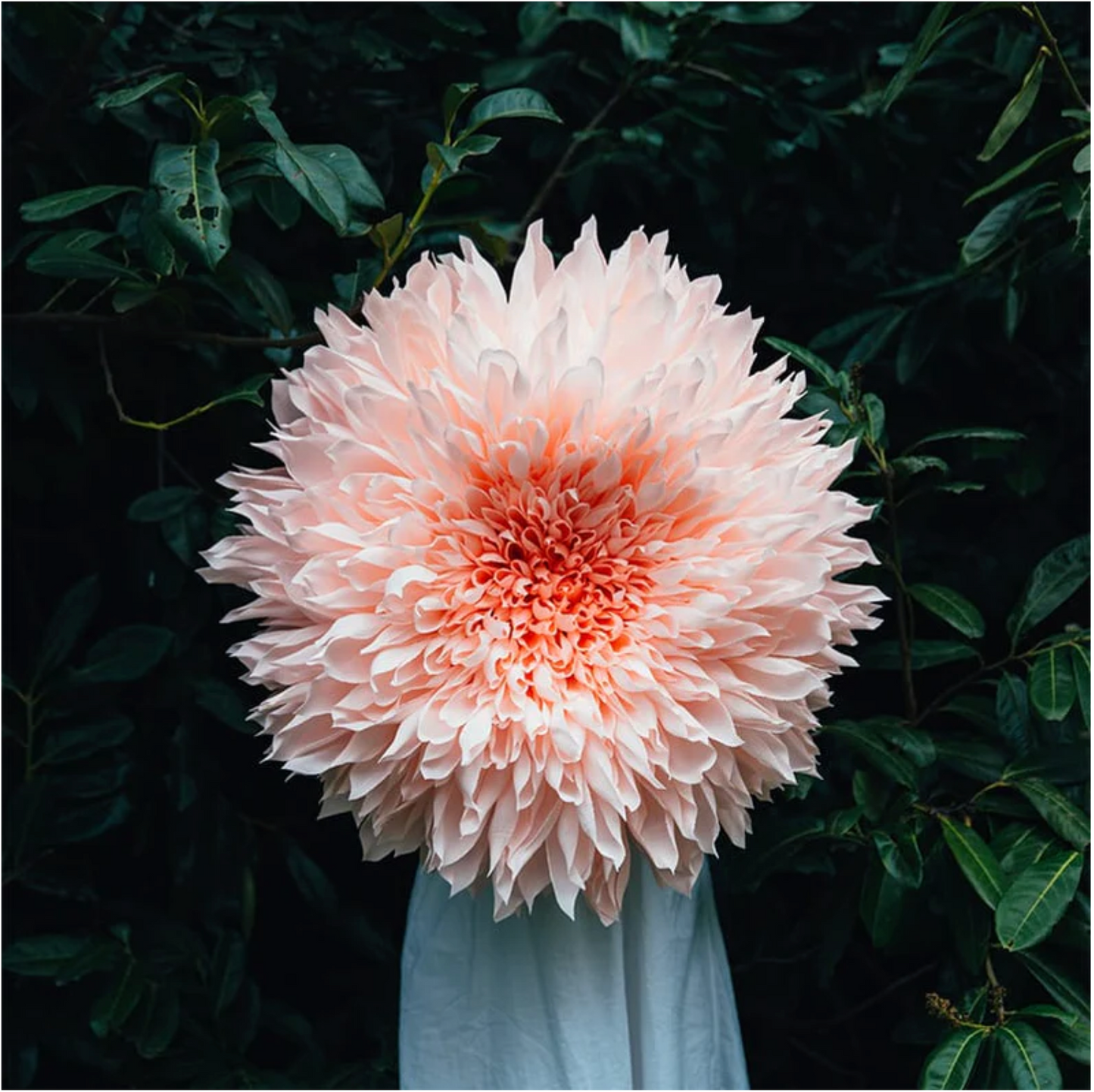 Selvedge Magazine Issue 130 - Flower